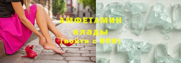 ECSTASY Алзамай