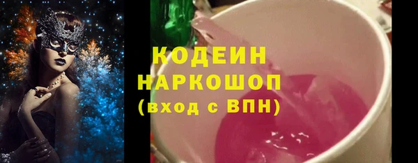 ECSTASY Алзамай