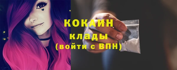 ECSTASY Алзамай