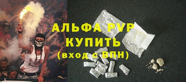 ECSTASY Алзамай